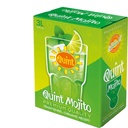Mojito Cocktail 15° 3L 