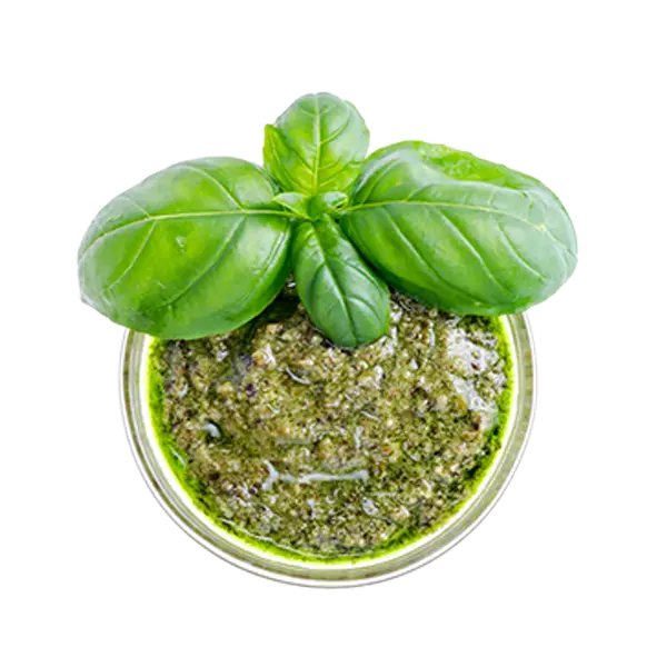 Pesto vert 500gr