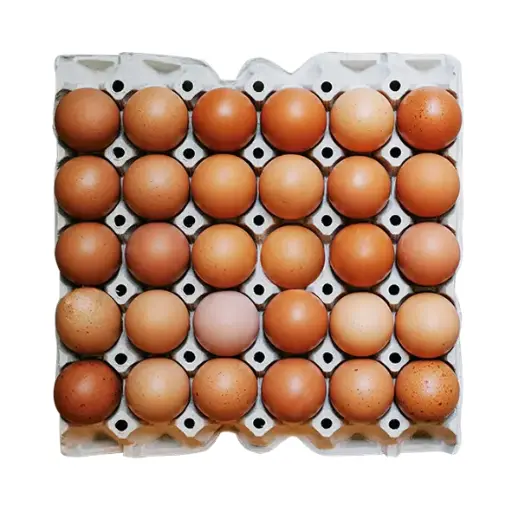 [300209] Oeuf M 30 pièces 